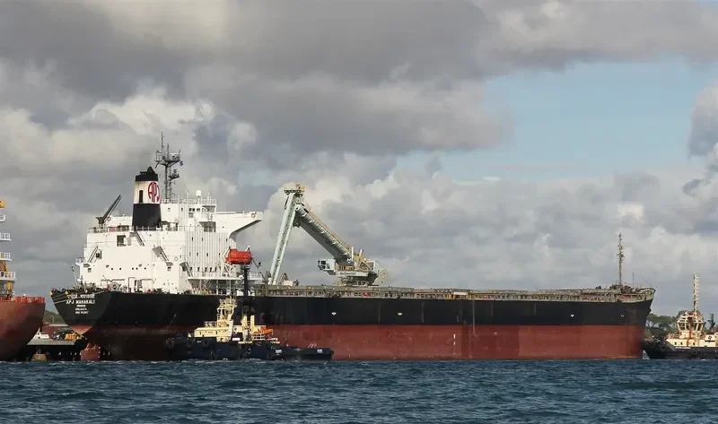 APJ MAHAKALI Bulk Carrier IMO 9128817 photo 3