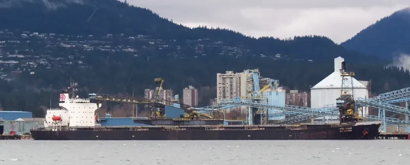 APJ MAHAKALI Bulk Carrier IMO 9128817 photo 4