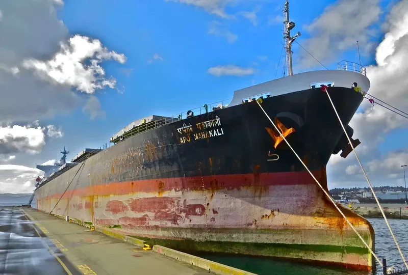 APJ MAHAKALI Bulk Carrier IMO 9128817 photo 5