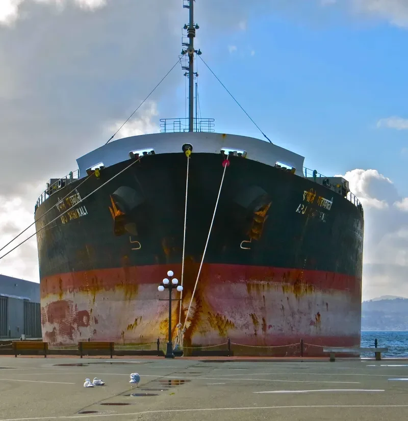 APJ MAHAKALI Bulk Carrier IMO 9128817 photo 6