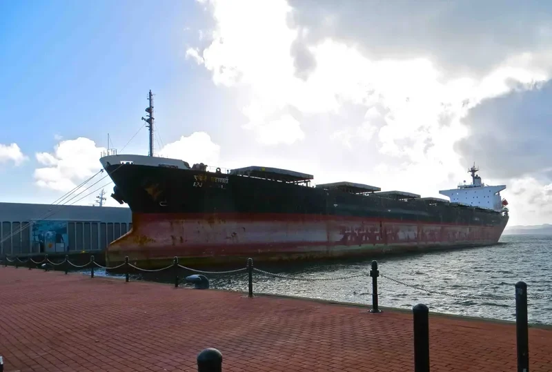APJ MAHAKALI Bulk Carrier IMO 9128817 photo 7