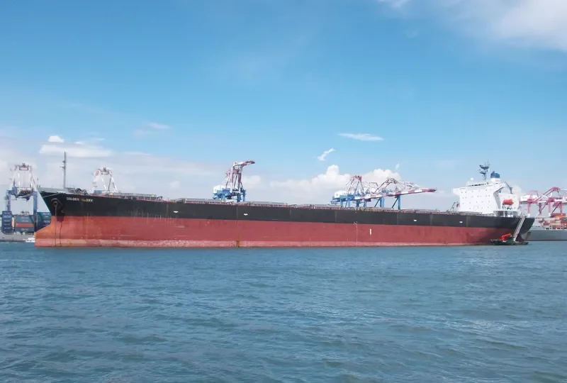 APJ MAHAKALI Bulk Carrier IMO 9128817 photo 8