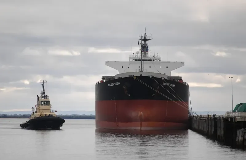 APJ MAHAKALI Bulk Carrier IMO 9128817 photo 9