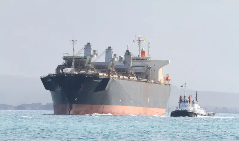 CHIPHOP Bulk Carrier IMO 9128829 photo 6