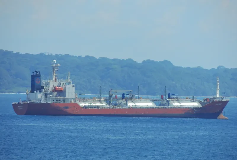 SCHUMI 2 General Cargo IMO 9128879 photo 4