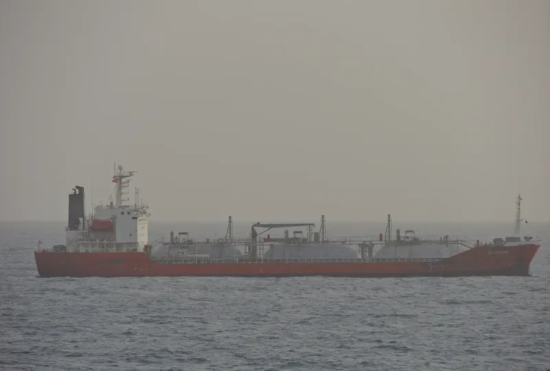 SCHUMI 2 General Cargo IMO 9128879 photo 5
