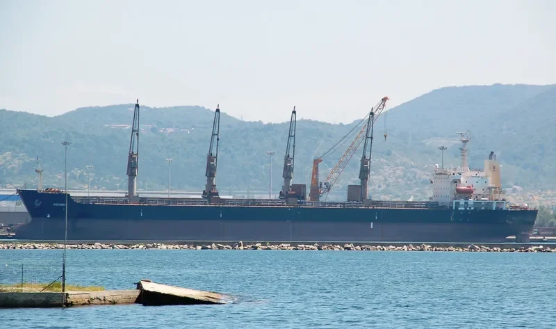 XIANG FU Bulk Carrier IMO 9129029 photo 3