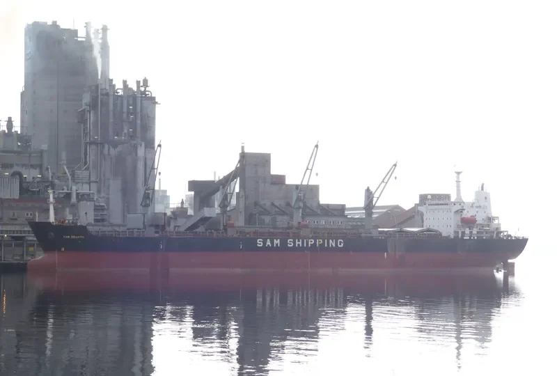 XIANG FU Bulk Carrier IMO 9129029 photo 4