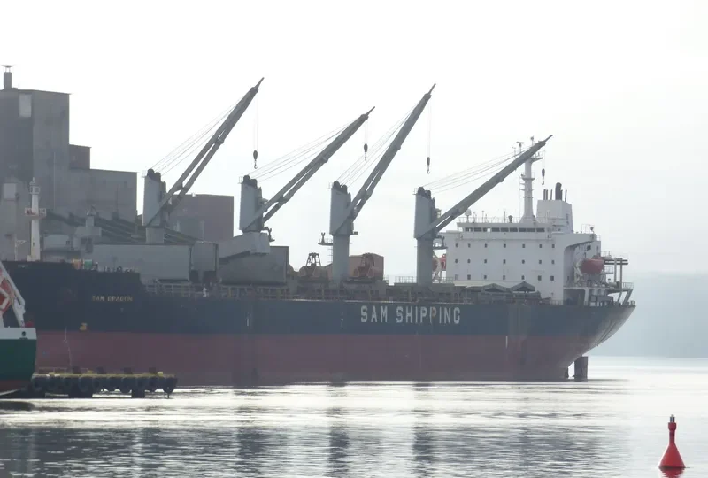 XIANG FU Bulk Carrier IMO 9129029 photo 5