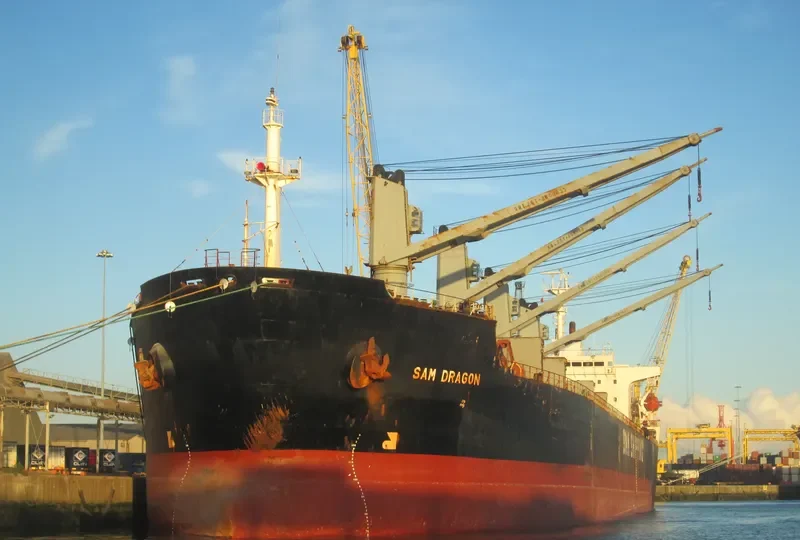 XIANG FU Bulk Carrier IMO 9129029 photo 7