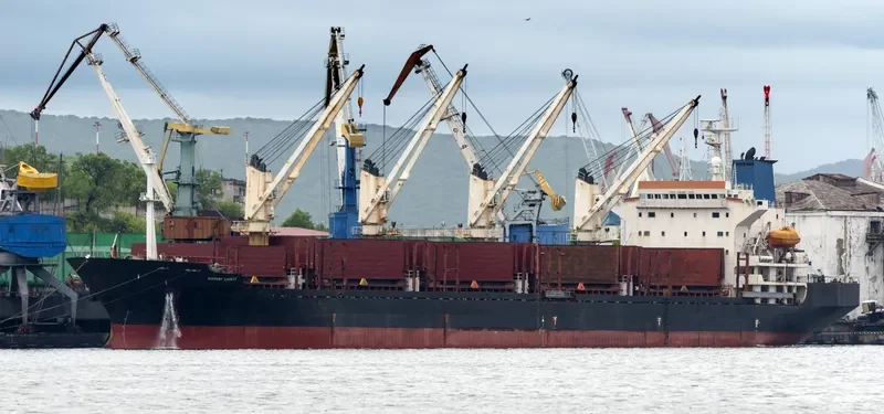 HARMONY SOURCE Bulk Carrier IMO 9129366 photo 2