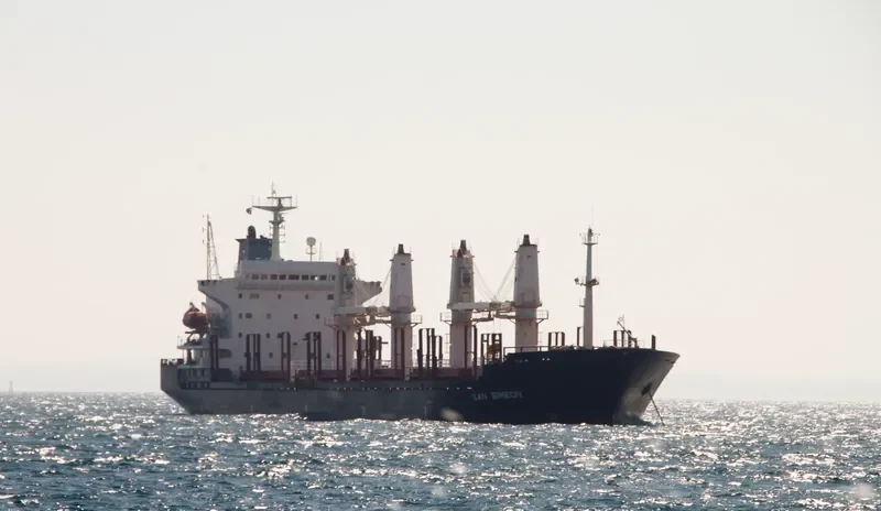 HARMONY SOURCE Bulk Carrier IMO 9129366 photo 4