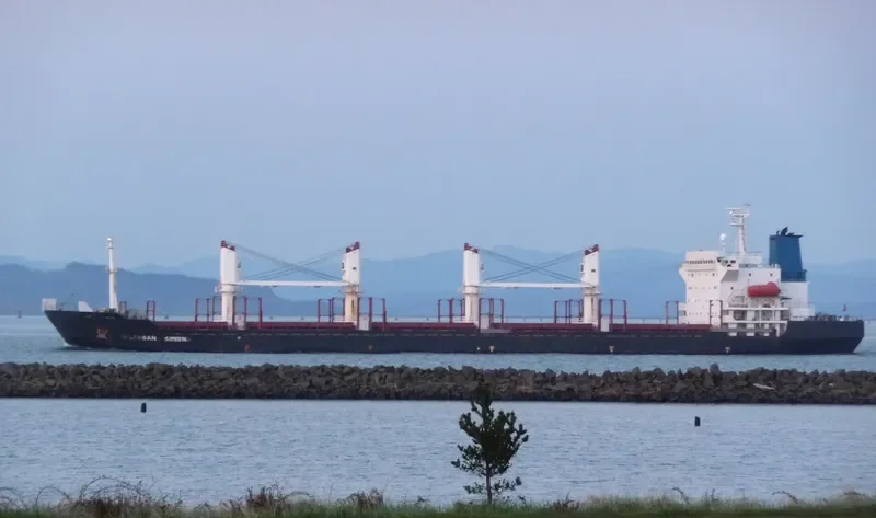 HARMONY SOURCE Bulk Carrier IMO 9129366 photo 5