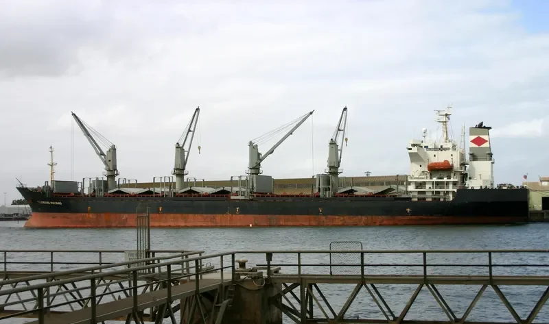 HARMONY SOURCE Bulk Carrier IMO 9129366 photo 6