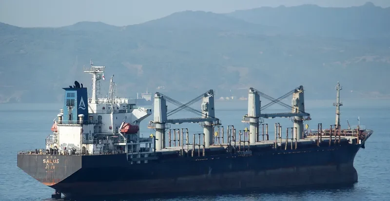 NEW WAY 1 Bulk Carrier IMO 9129378 photo 6