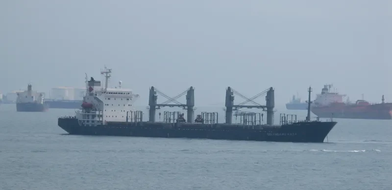 NEW WAY 1 Bulk Carrier IMO 9129378 photo 7