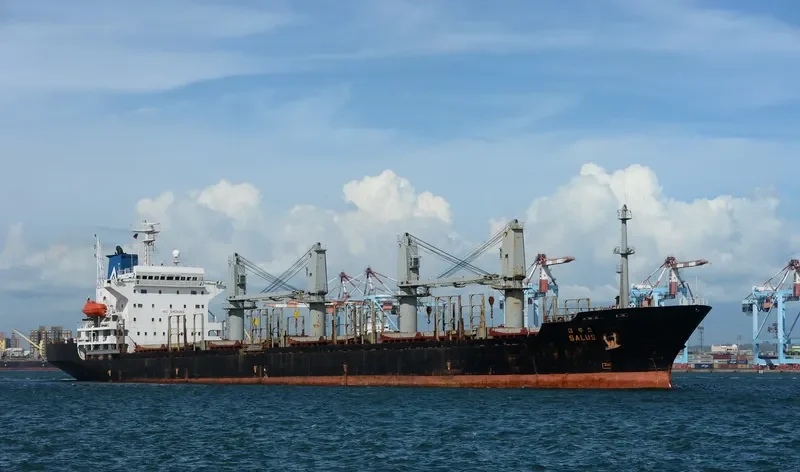NEW WAY 1 Bulk Carrier IMO 9129378 photo 8