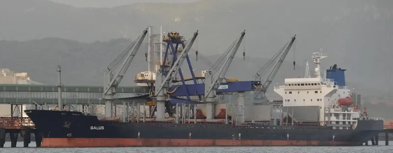 NEW WAY 1 Bulk Carrier IMO 9129378 photo 9