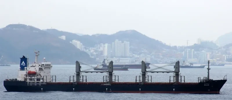 NEW WAY 1 Bulk Carrier IMO 9129378 photo 10