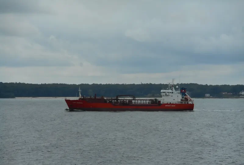CORAL MEANDRA General Cargo IMO 9129380 photo 6