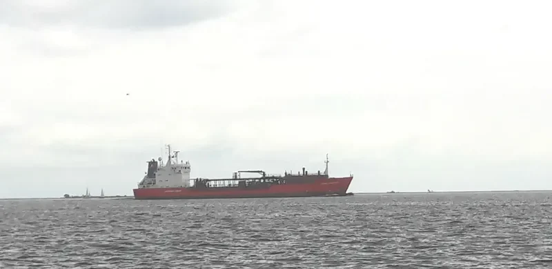 CORAL MEANDRA General Cargo IMO 9129380 photo 7