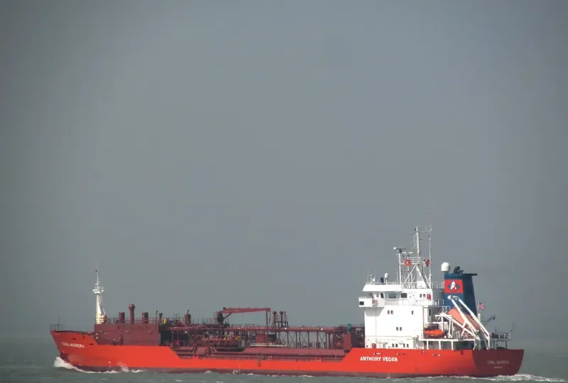 CORAL MEANDRA General Cargo IMO 9129380 photo 9