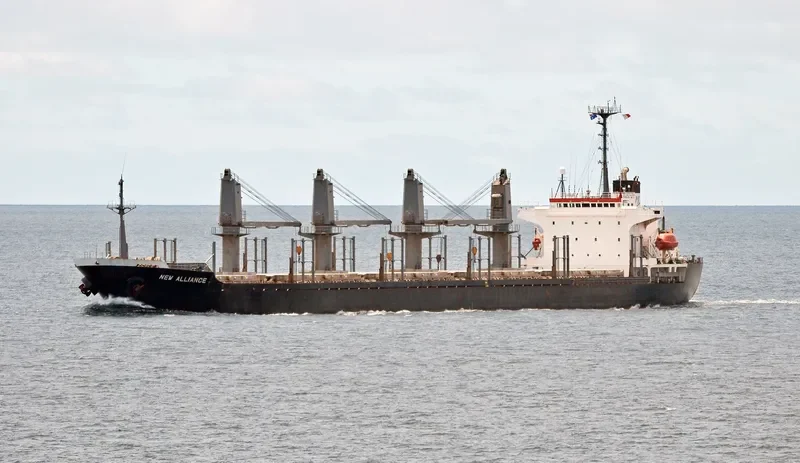 ORIENTAL GRACE Bulk Carrier IMO 9129603