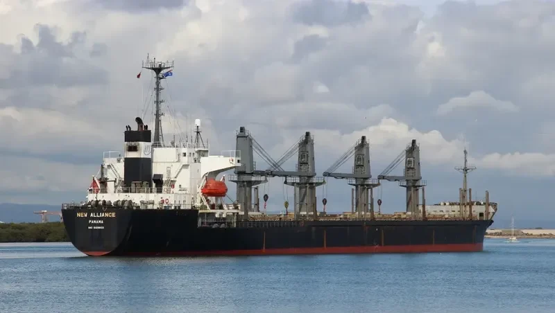 ORIENTAL GRACE Bulk Carrier IMO 9129603 photo 5