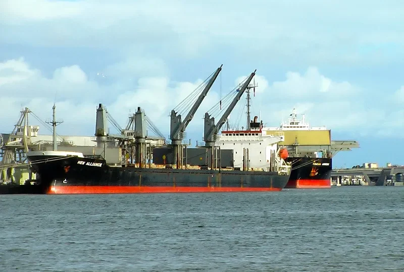 ORIENTAL GRACE Bulk Carrier IMO 9129603 photo 6