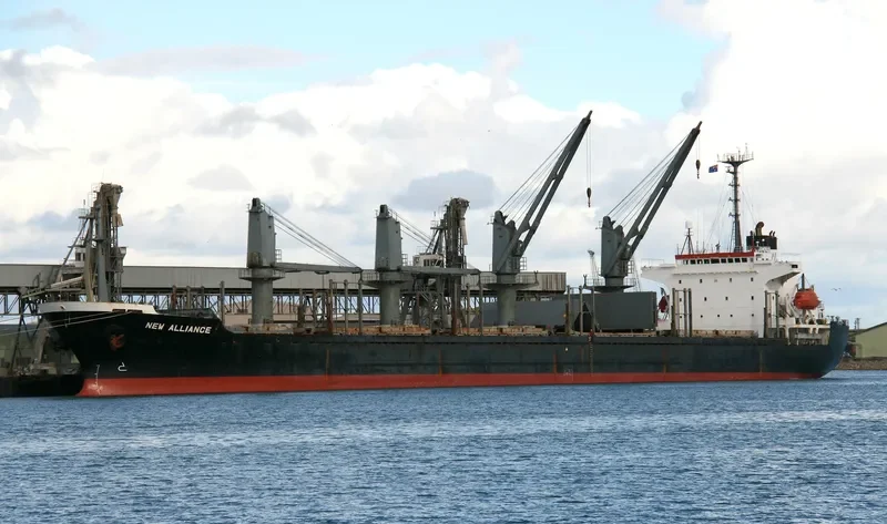 ORIENTAL GRACE Bulk Carrier IMO 9129603 photo 7