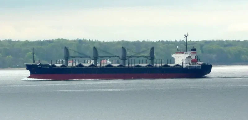 ORIENTAL GRACE Bulk Carrier IMO 9129603 photo 9