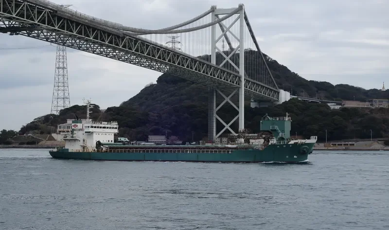 MIYAHATA MARU Bulk Carrier IMO 9129665 photo 7