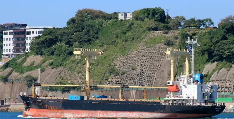 ASIAN BEAM General Cargo IMO 9129689 photo 4