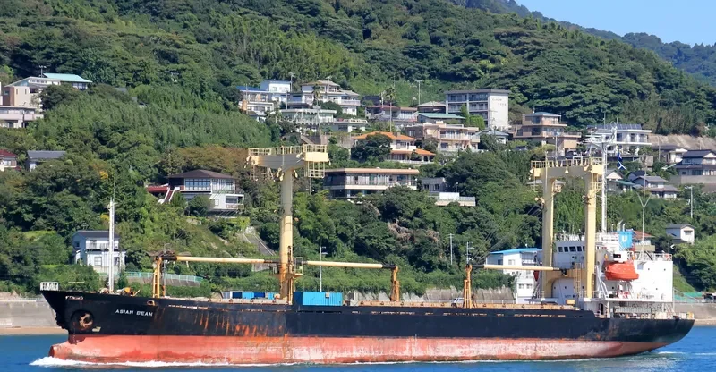 ASIAN BEAM General Cargo IMO 9129689 photo 6