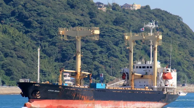ASIAN BEAM General Cargo IMO 9129689 photo 7