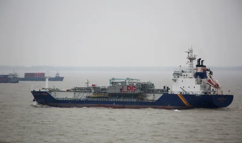 QUEEN PHENIX General Cargo IMO 9129718 photo 7