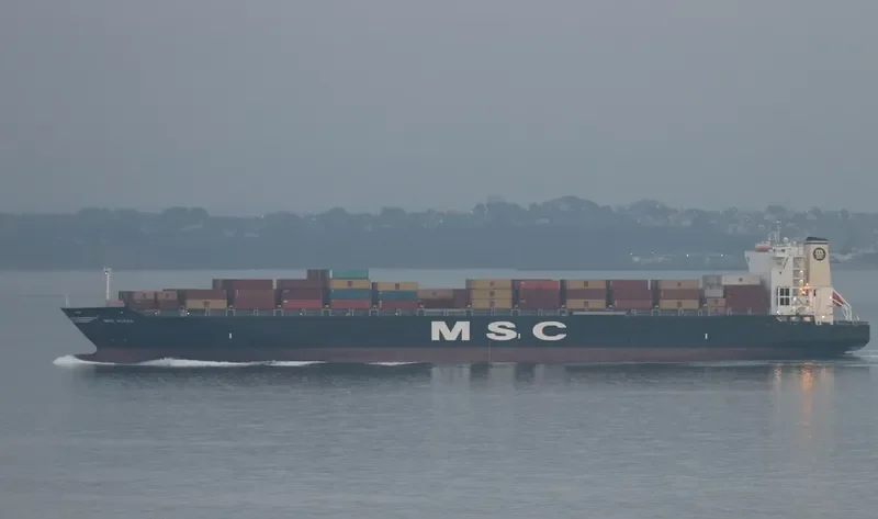 MSC ALEXA Container Ship IMO 9129873 photo 7