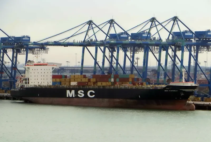 MSC RAFAELA Container Ship IMO 9129885 photo 7