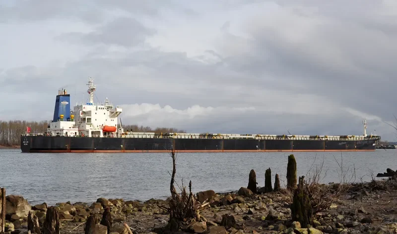 GREAT JADE Bulk Carrier IMO 9129938 photo 7