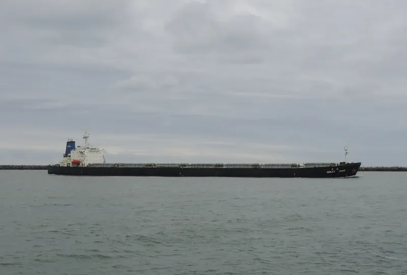 GREAT JADE Bulk Carrier IMO 9129938 photo 9