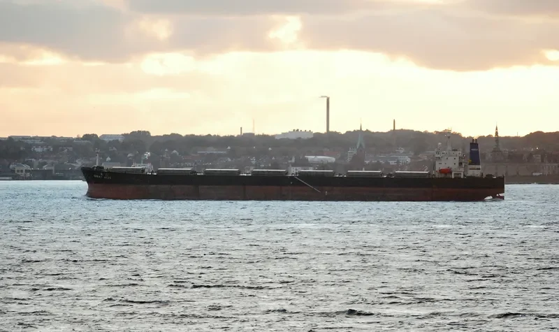 GREAT JADE Bulk Carrier IMO 9129938 photo 10