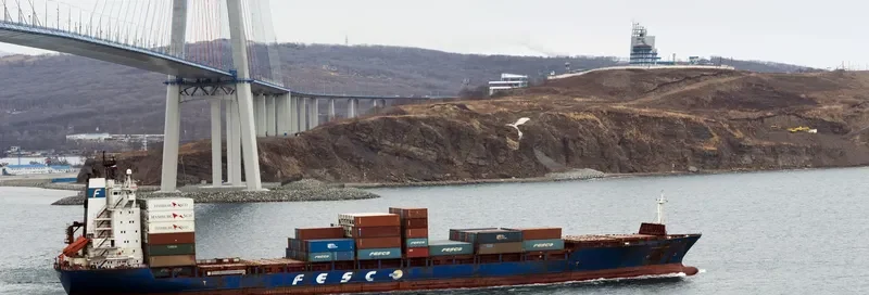 VLADIVOSTOK Container Ship IMO 9130145 photo 3