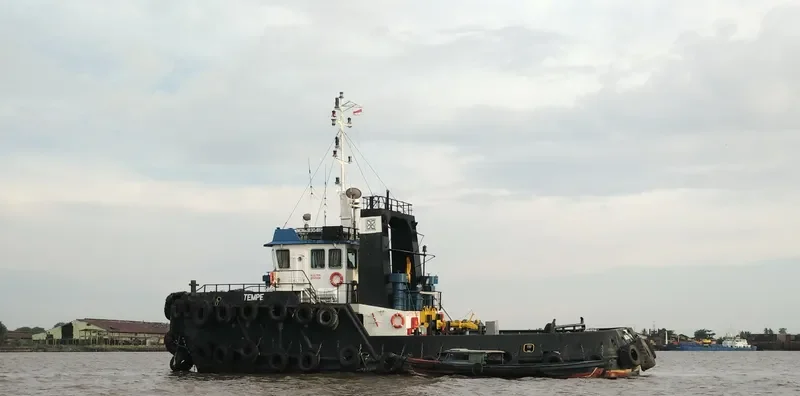 TEMPE General Cargo IMO 9130418