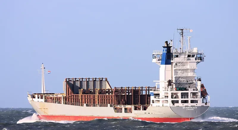 BF FORTALEZA Container Ship IMO 9130432 photo 2