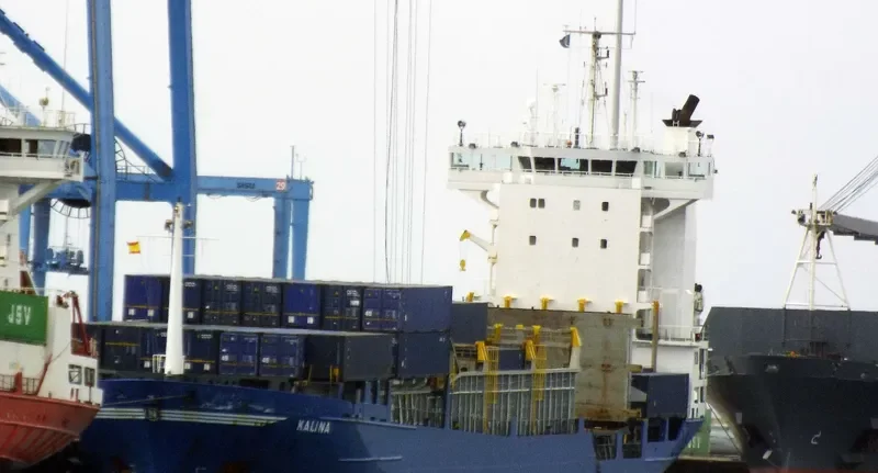 ALINA Container Ship IMO 9130444 photo 6