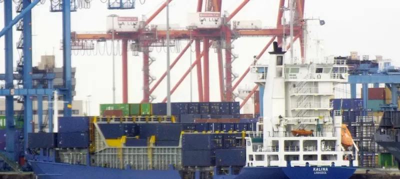 ALINA Container Ship IMO 9130444 photo 7