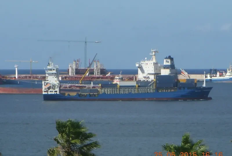 ALINA Container Ship IMO 9130444 photo 8