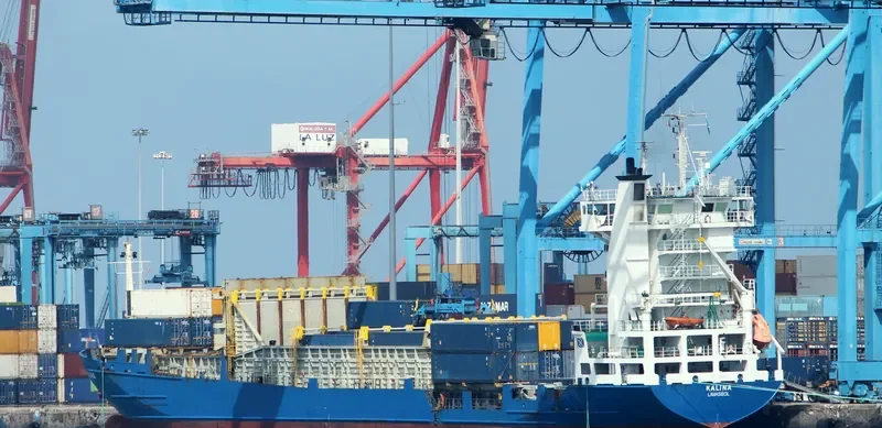 ALINA Container Ship IMO 9130444 photo 9