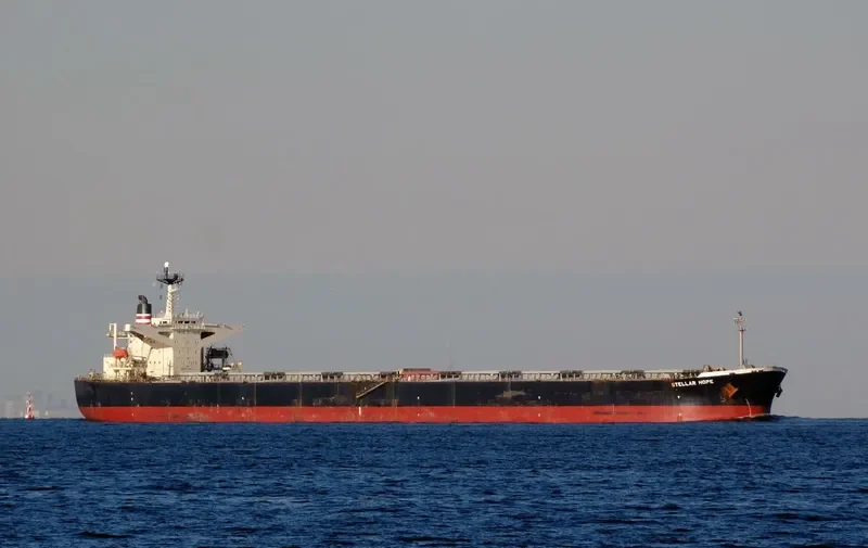 LARCH Bulk Carrier IMO 9130602