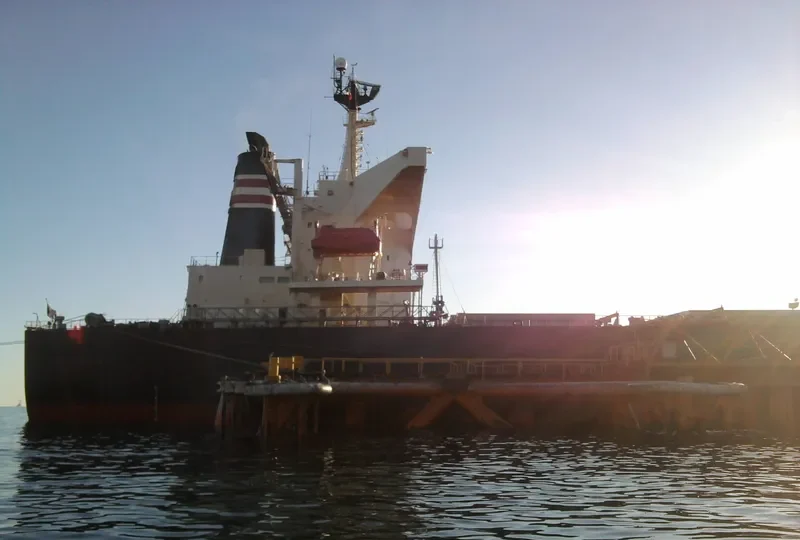 LARCH Bulk Carrier IMO 9130602 photo 8